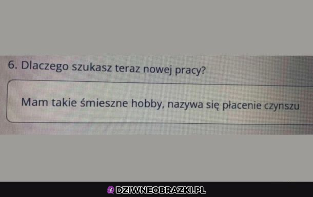 oczywista odpowiedź