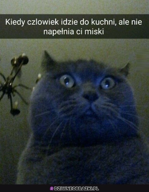 Jak to
