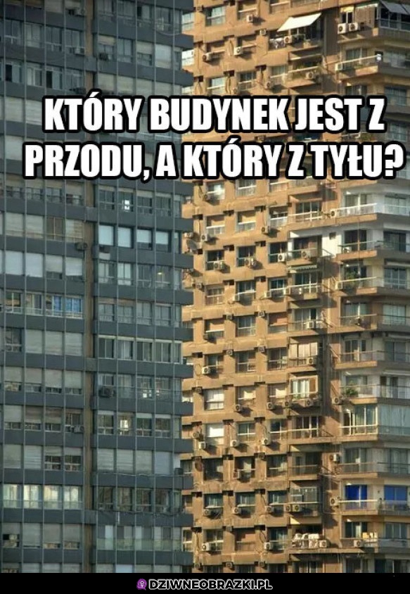 Mój mózg