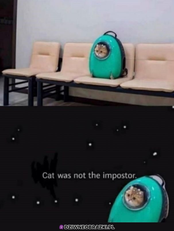 Kitku