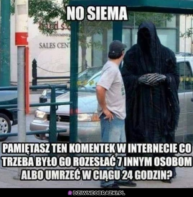 No siema