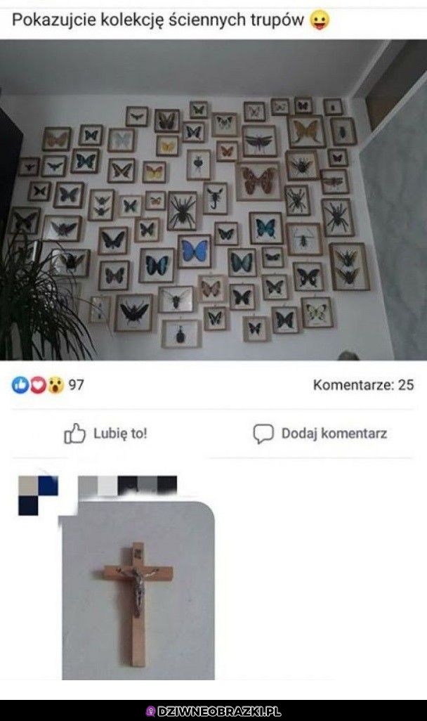 Jeden element w kolekcji