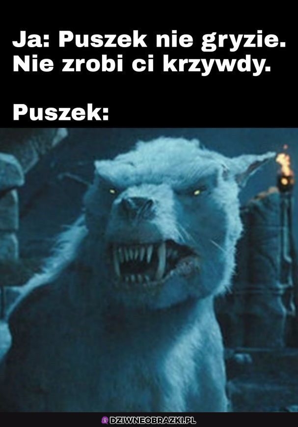 Puszek