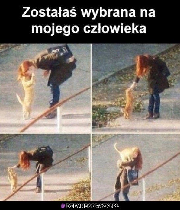 Wybrana