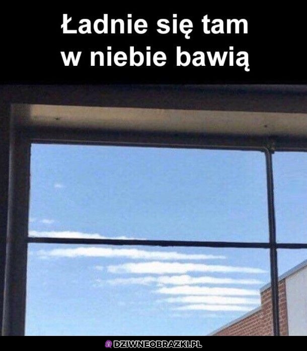 Białe mewy
