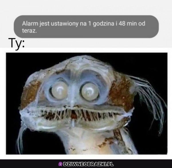 Najgorzej