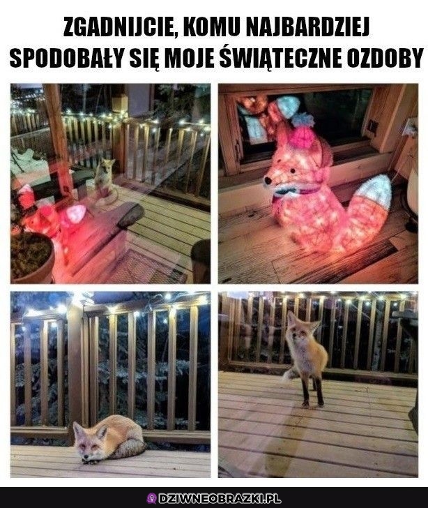 Świąteczne ozdoby