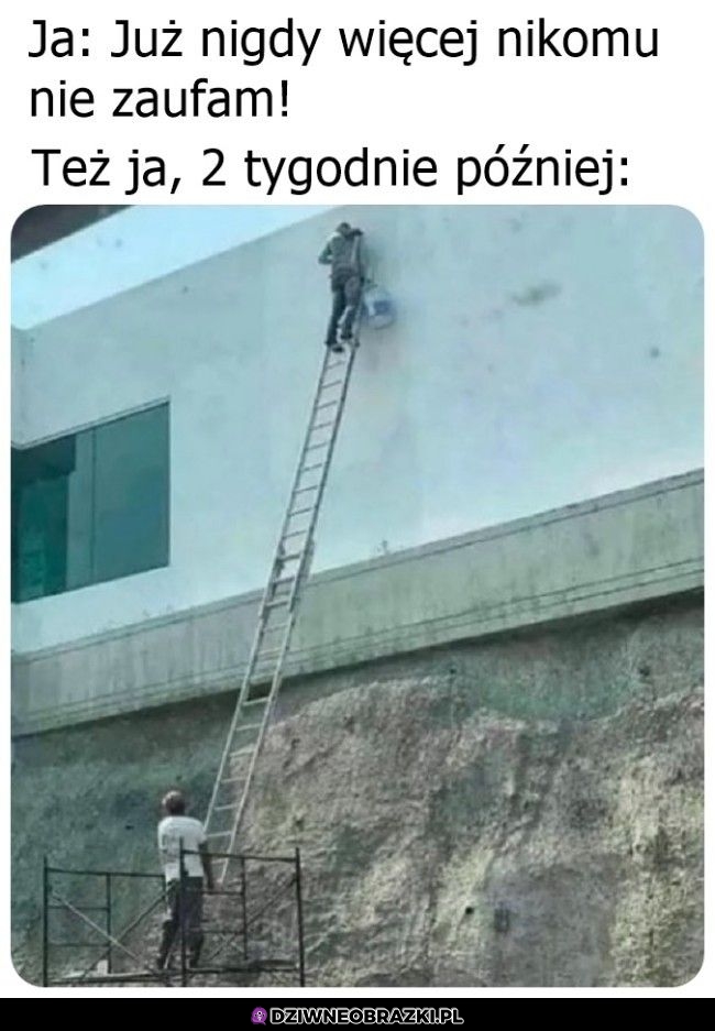 Niczego się nie uczę