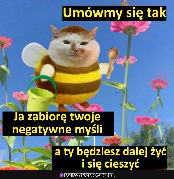 Kot dobra wróżka