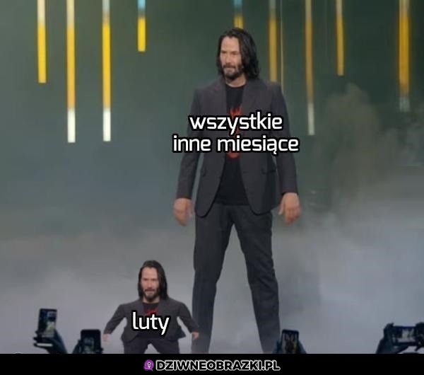 Tak to widzę