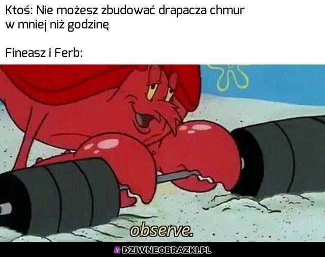To patrz