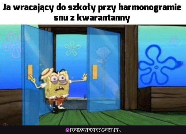 To się nie uda