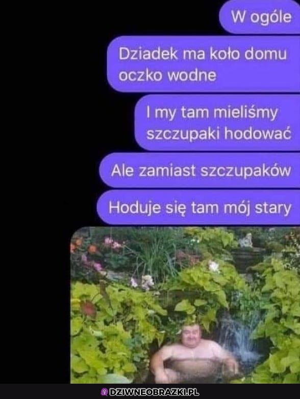 Co można hodować na działce?