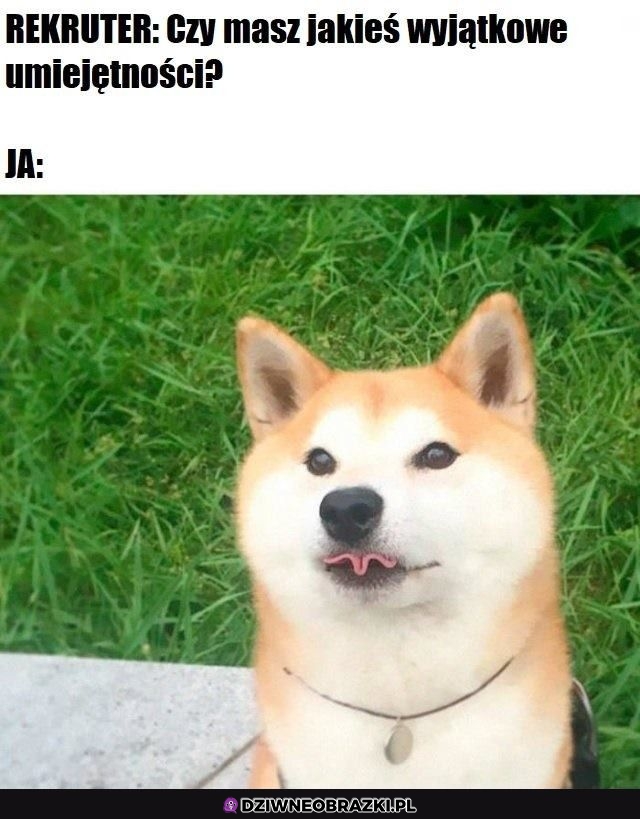 I to jakie