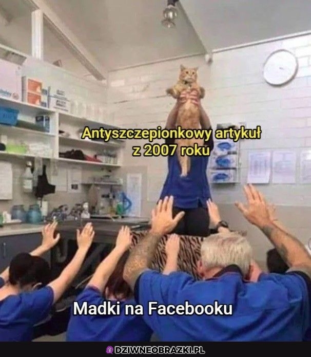 Największe źródło wiedzy