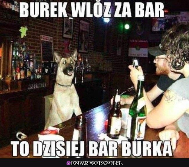 Burek