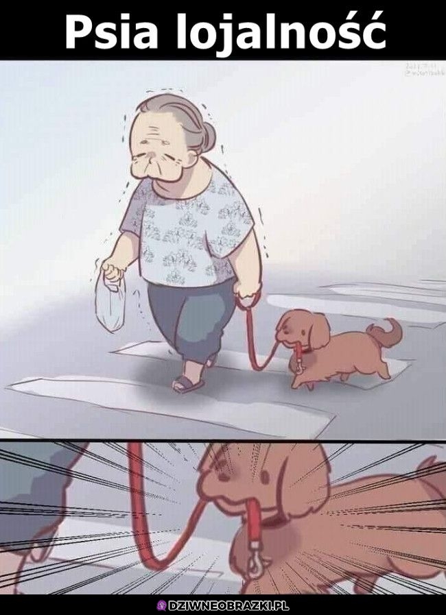 Wie gdzie jego miejsce