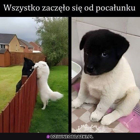 A skończyło..