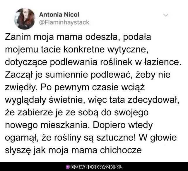 A to zgrywus