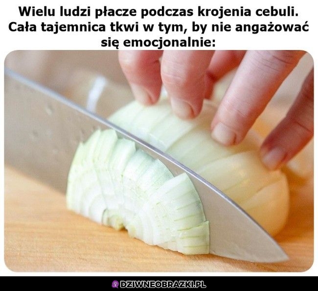 Krojenie cebuli