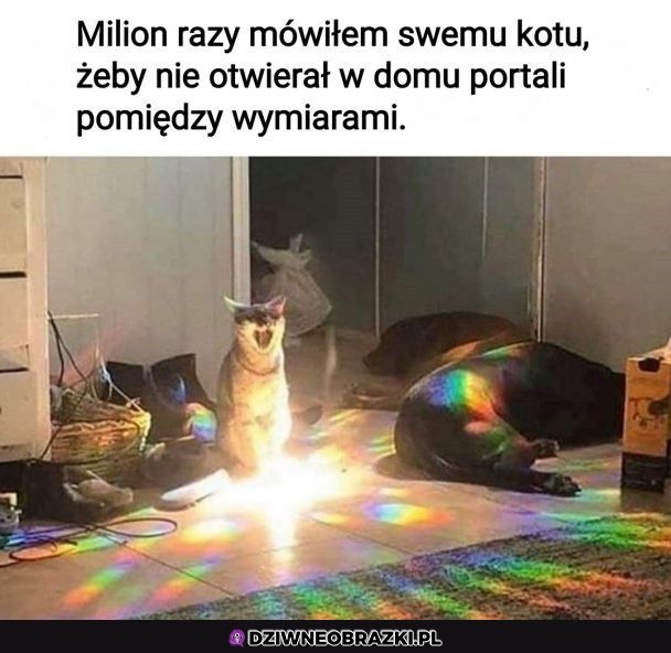 Znowu to samo Znowu to samo