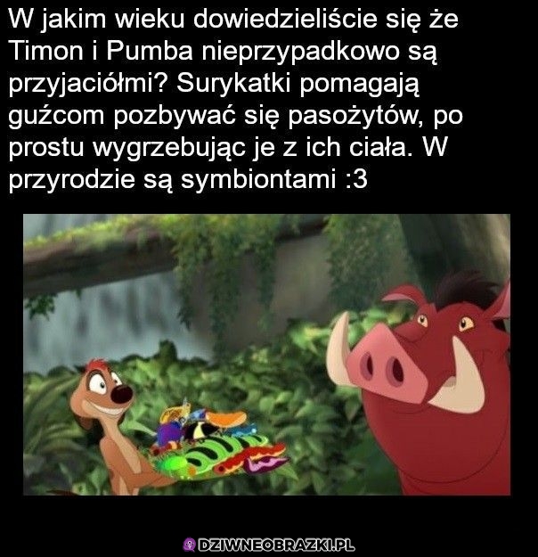A więc to wszystko prawda