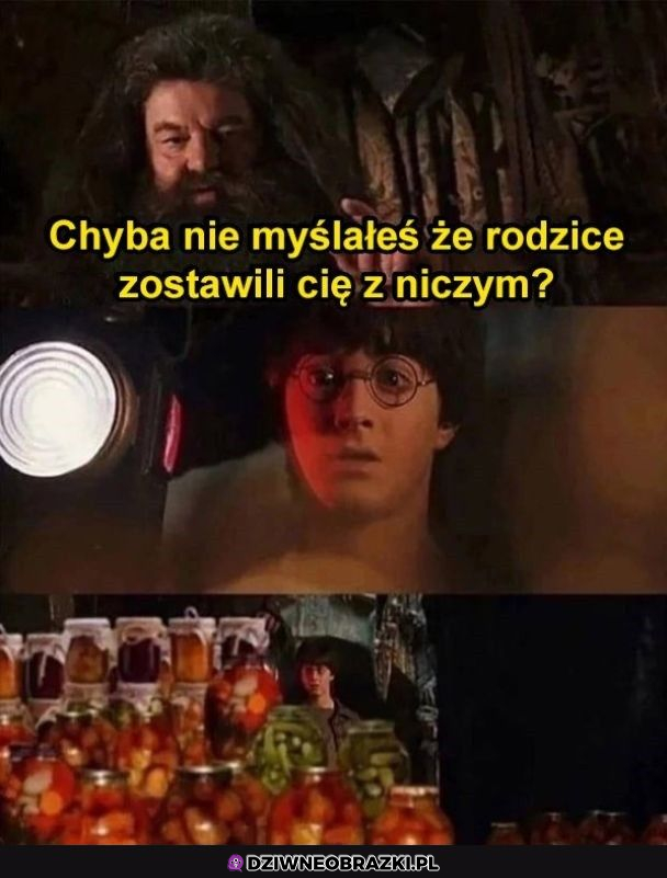 Dziedzictwo Harryego