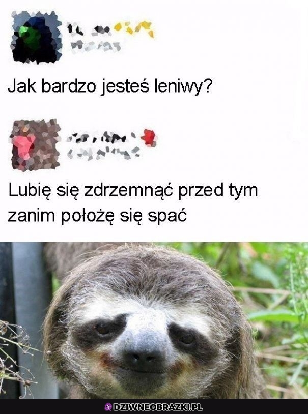 Szczyt lenistwa