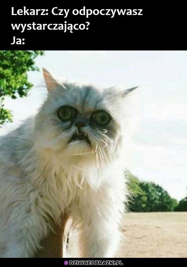 A jak myślisz?