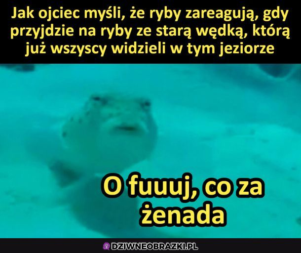 Myślenie ojca