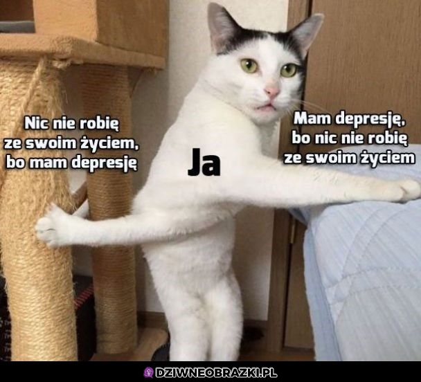 To ja