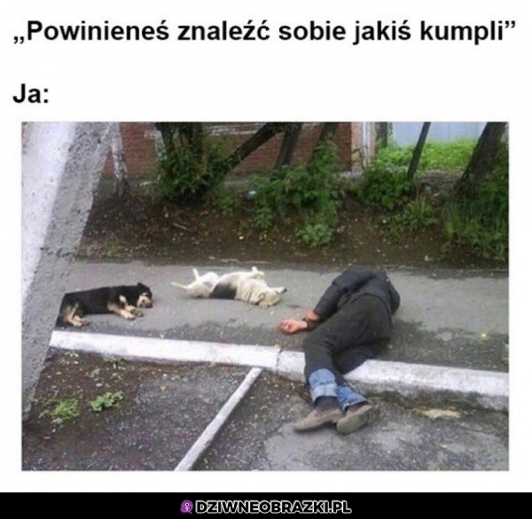 Cześć kolego