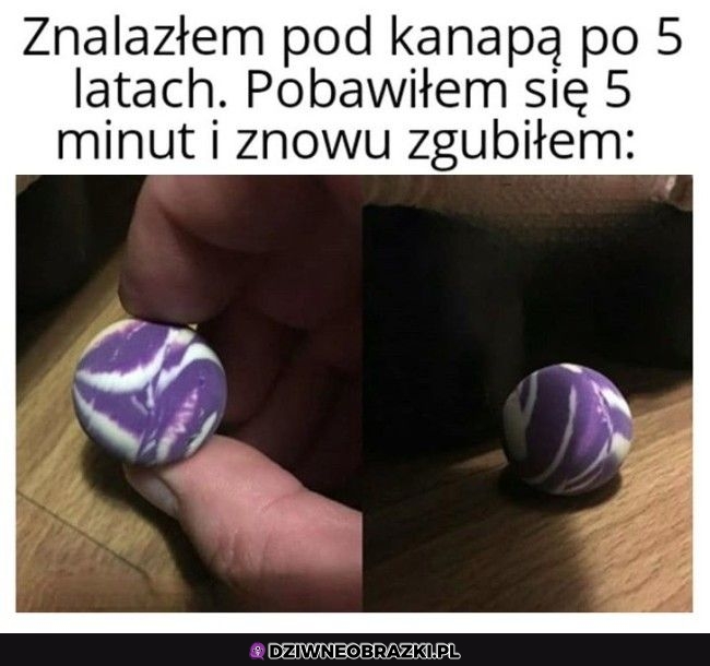 Taki już jej los