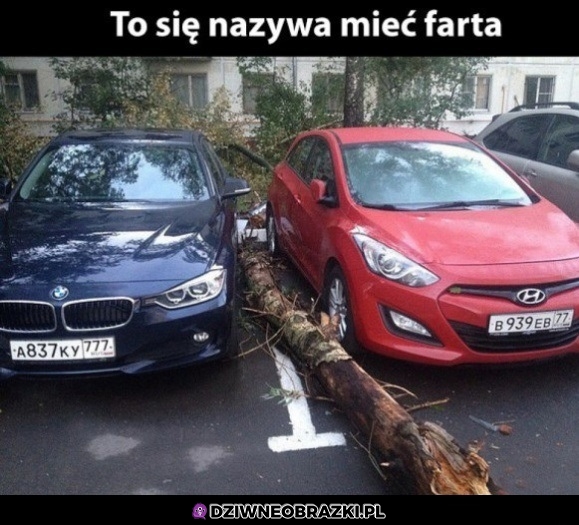 Farcik