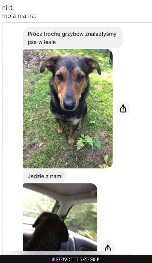 Najlepsze znalezisko