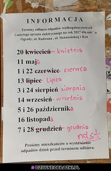 Ocenione ogłoszenie