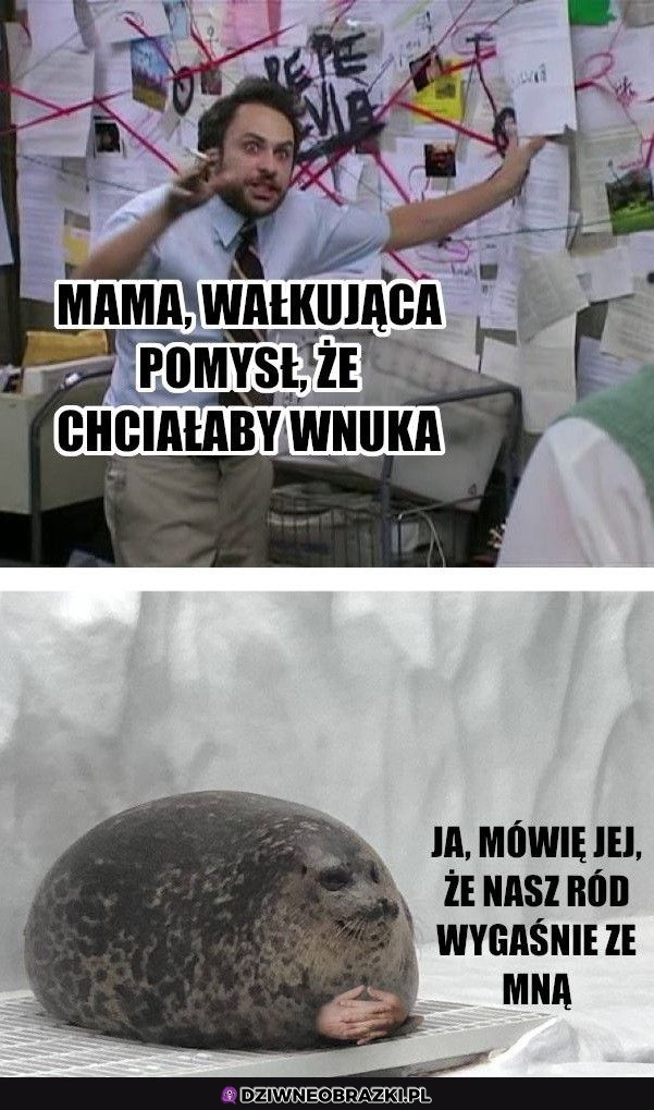 Ten moment