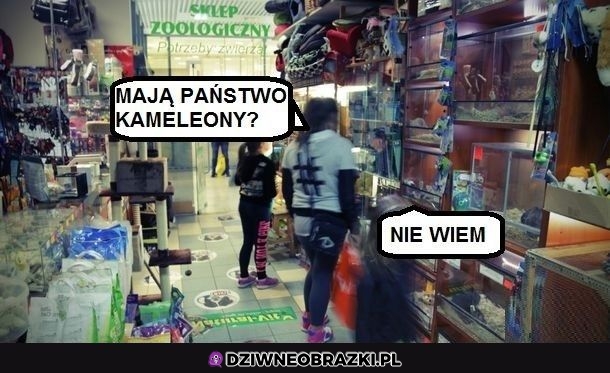 Kiedyś były