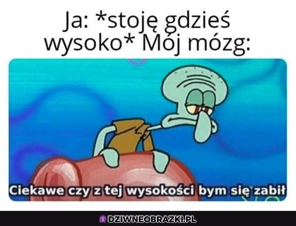 Zawsze