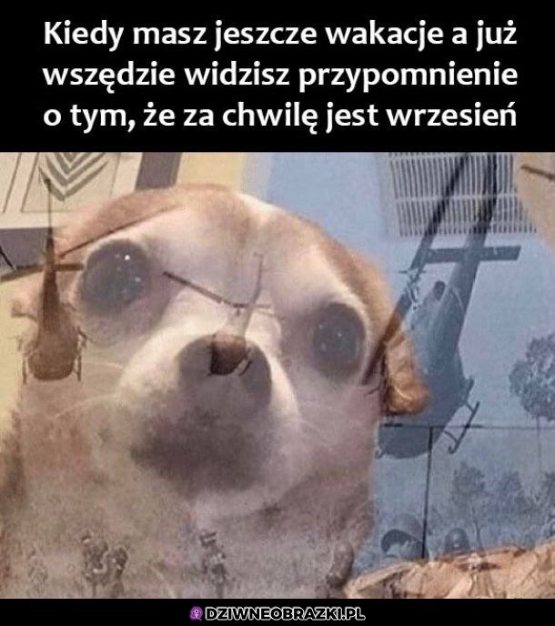 To nawet już dzisiaj