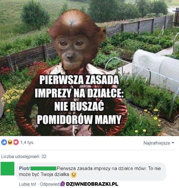 Pierwsza zasada