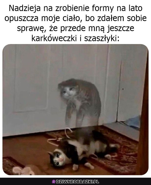 i nie będzie formy :x