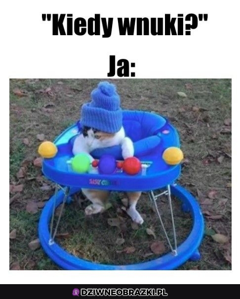 Przecież jest wnuczka