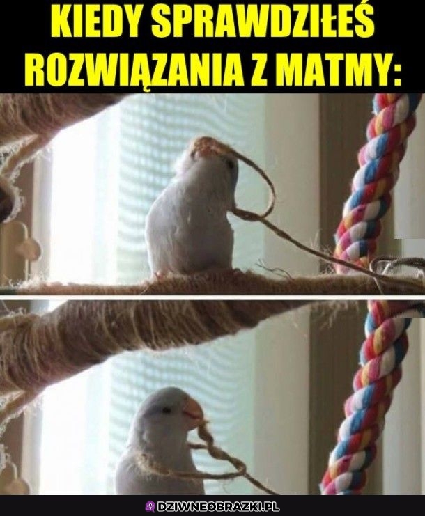 Już po mnie