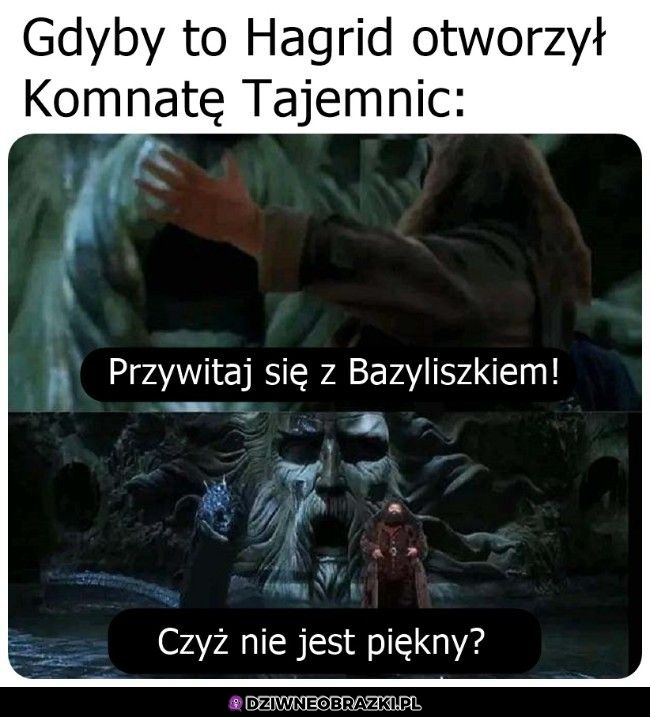 Tak by było