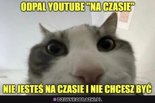 Nie bądź na czasie