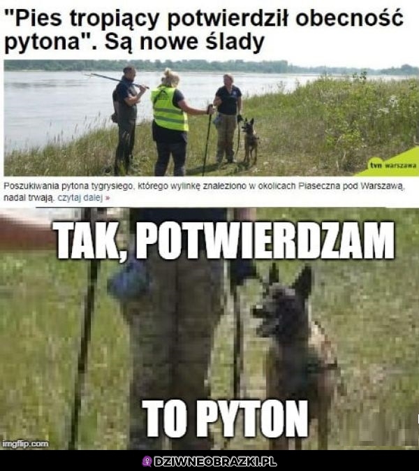Potwierdzam