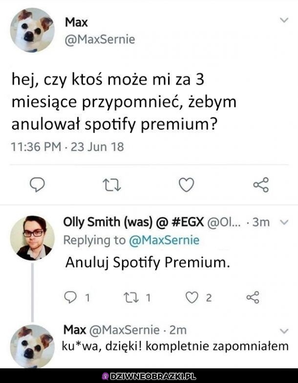 Przypomnienie