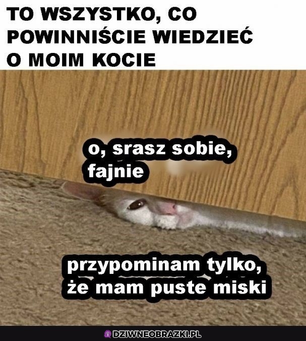 Nie można się uwolnić