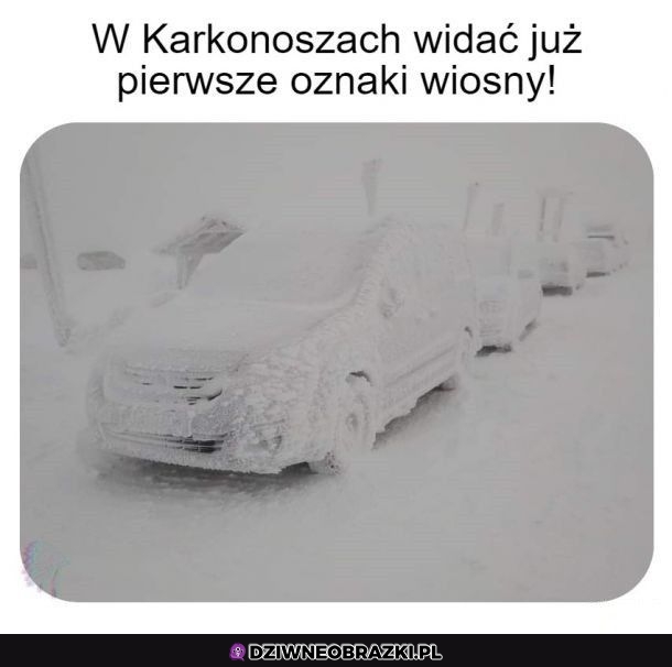 Wiosna już idzie, idzie